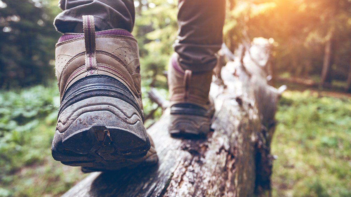 A person hiking in the woods.