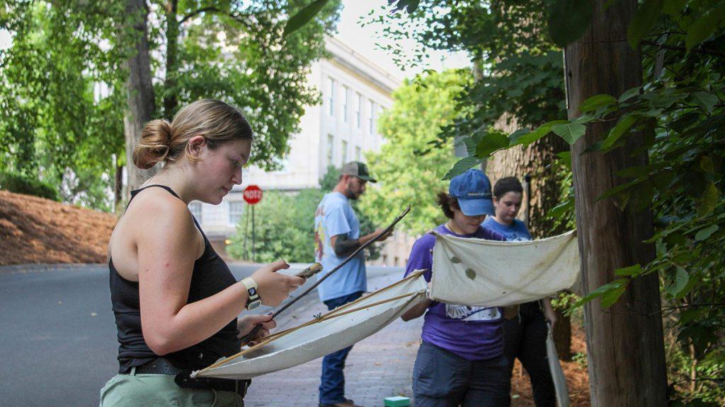 学生和研究人员Grace Layman说, Ivara留有, Isabella Nieri and Alexander 史密斯 check for insects found on Carolina's campus.